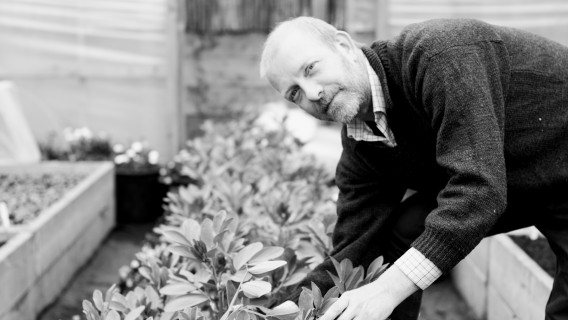 Head Gardener
